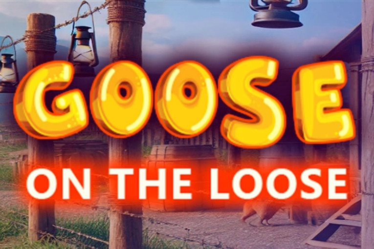 21588 goose on the loose